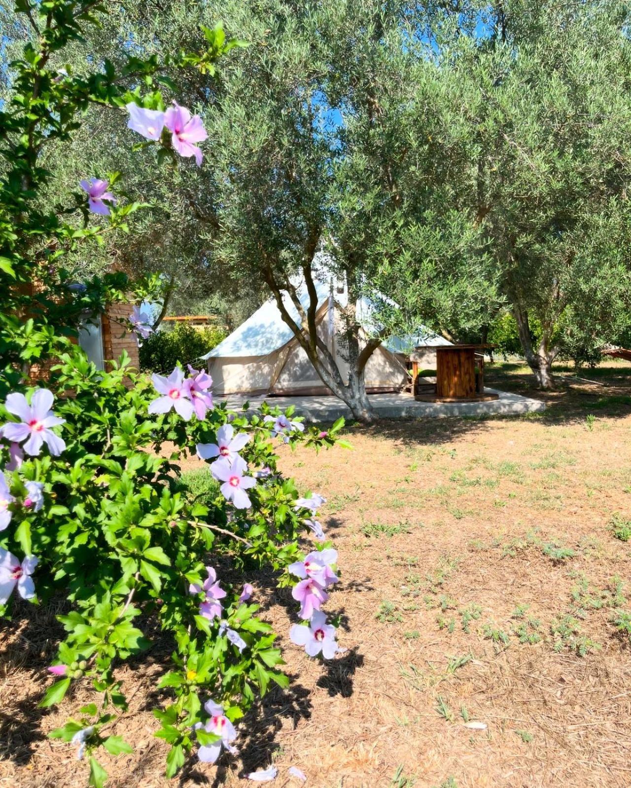Eco Glamping With Pool Between Nafplio And Argos Exterior photo